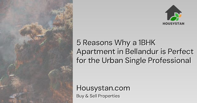5 Reasons Why a 1BHK Apartment in Bellandur is Perfect for the Urban Single Professional