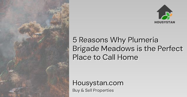 5 Reasons Why Plumeria Brigade Meadows is the Perfect Place to Call Home