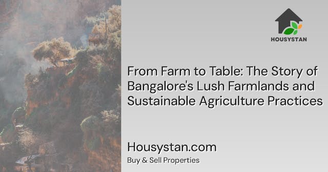 From Farm to Table: The Story of Bangalore's Lush Farmlands and Sustainable Agriculture Practices