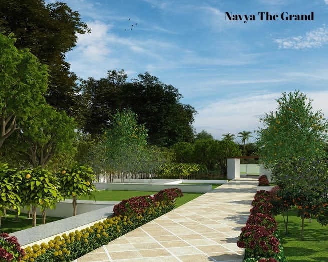 Image of Navya The Grand