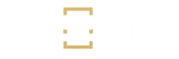 Profound Developers logo