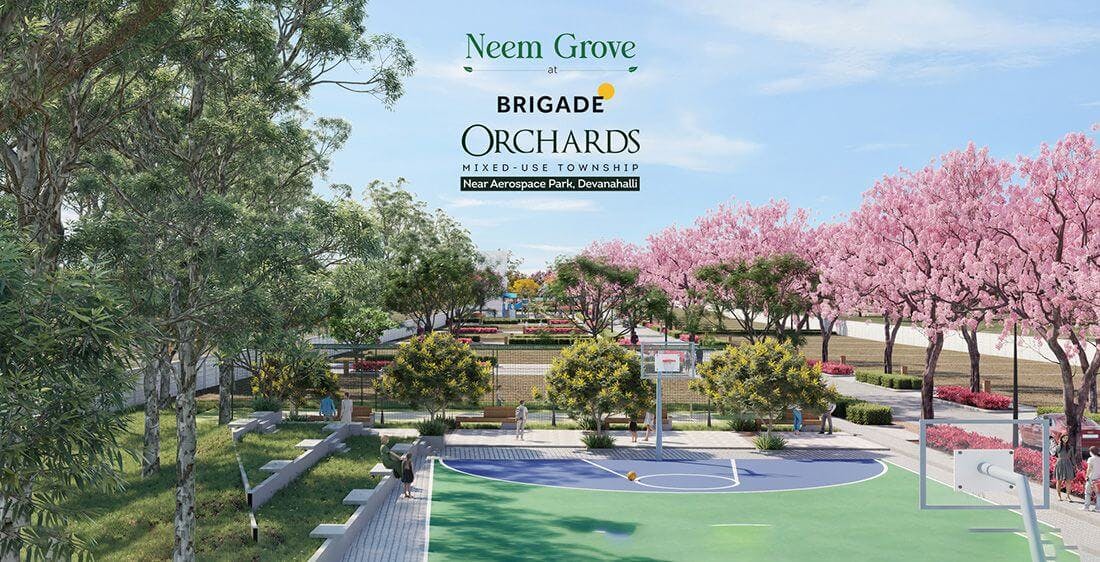 Image of Brigade Orchards